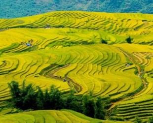 Y Ty 3 Days Trekking