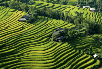 Authentic Trekking Tours in Hoang Su Phi 6 days