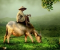 Top 7 Best Local Travel Agencies in Vietnam