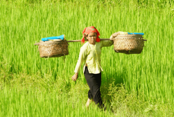 12 Days Explore Authentic Ethnic Tour in Vietnam 