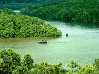 2 Days in Can Gio Mangrove Forest  
