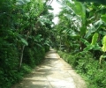 Ecotourism village Thuy Bieu in Hue
