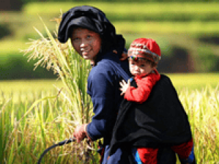 Trekking from Bac Ha to Ha Giang