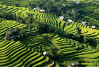 Authentic Hoang Su Phi Trekking Tours 