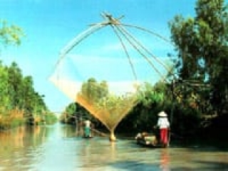 Mekong Delta Discovery