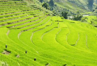 Trekking with a CBT in Hoang Su Phi
