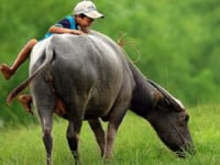 Highlights of Vietnam 20 days