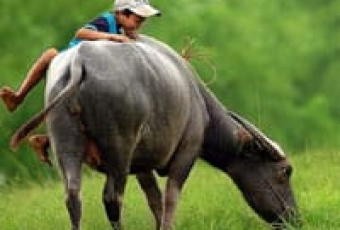 Highlights of Vietnam 20 days