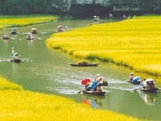 Hanoi - Hoa Lu - Tam Coc - Hanoi