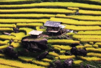 3 Days Hiking in Hoang Su Phi