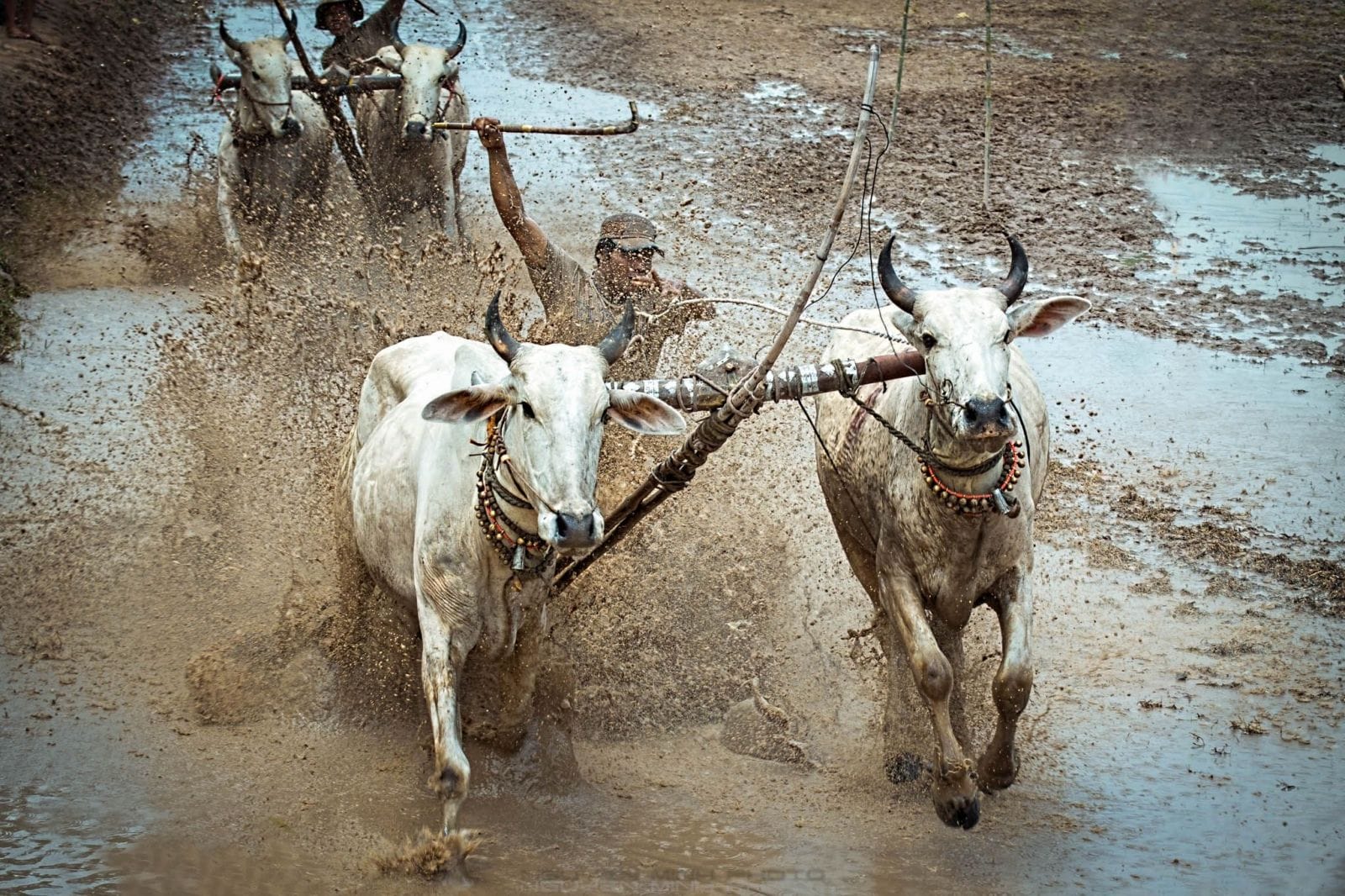 An-Giang-Vietnam