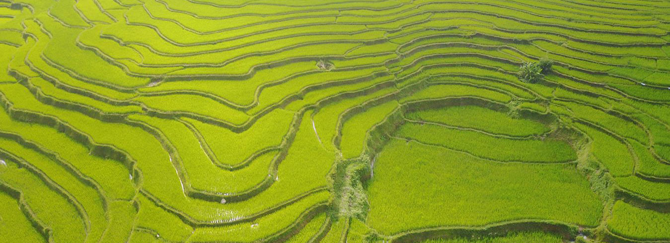 Sapa-hiking