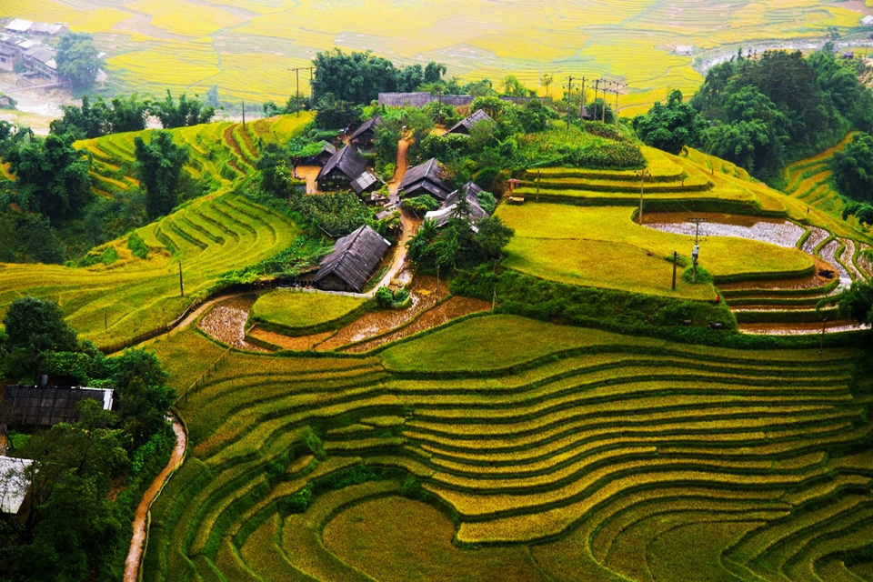 best-places-for-the-most-beautiful-terraced-rice-fields-in-vietnam