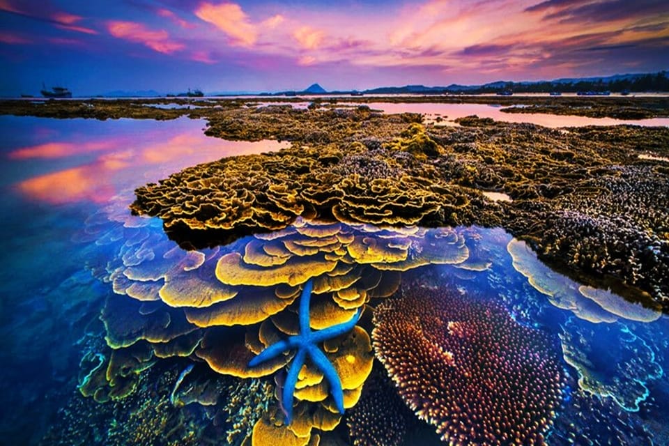 the-best-travel-guide-of-phu-yen-2023