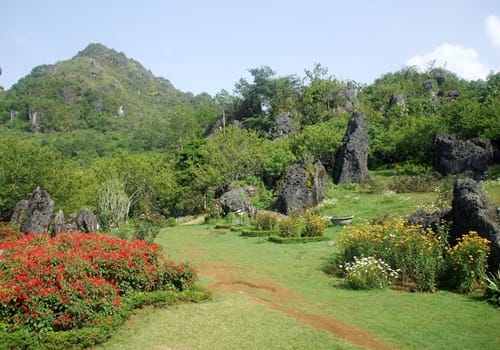 Ham Rong Mountain Sapa
