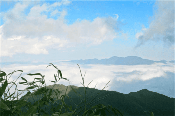 Lao Cai , Vietnam - The Best Travel Guide 2023