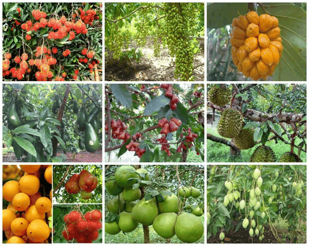 Dong Nai, Vietnam - The Best Travel Guide 2023