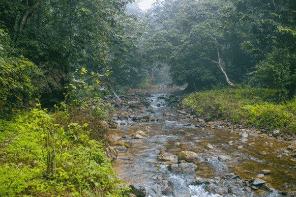 Phu Tho Province, Vietnam - The Best Travel Guide 2023