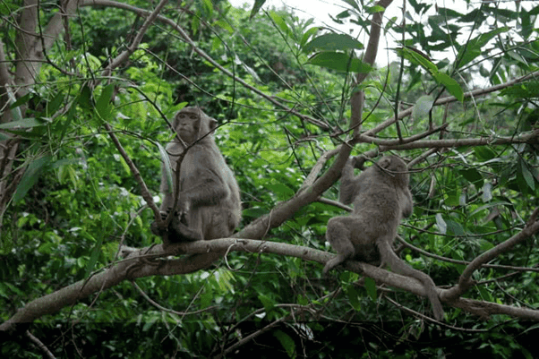 Phu Tho Province, Vietnam - The Best Travel Guide 2023