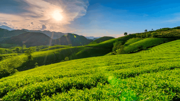 Phu Tho Province, Vietnam - The Best Travel Guide 2023