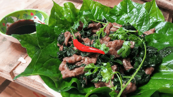 Quang Tri, Vietnam - The Best Travel Guide 2023