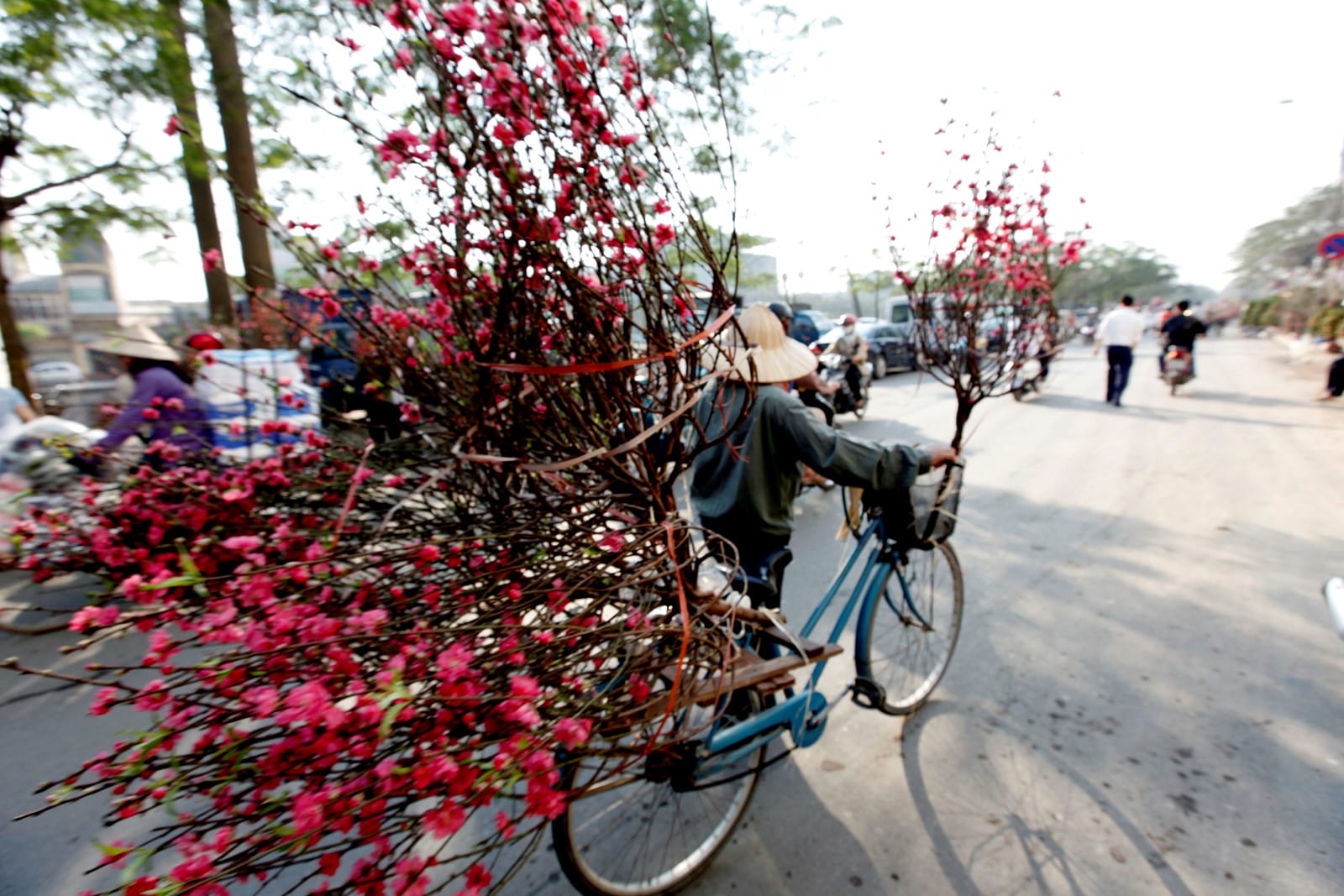Sunny day in Hanoi during the Tet holiday