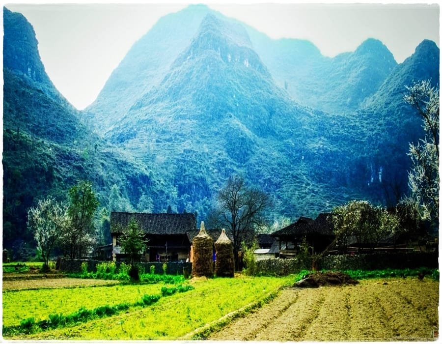 Top-20-things-to-do-and-to-visit-in-Ha-Giang-pho-cao-village
