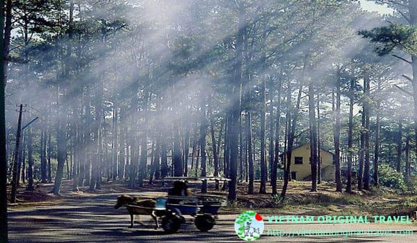 Da Lat - a paradise of relax and discovery