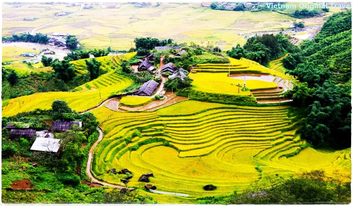 best-place-for-terraced-rice-fields-and-trekking-hoang-su-phi