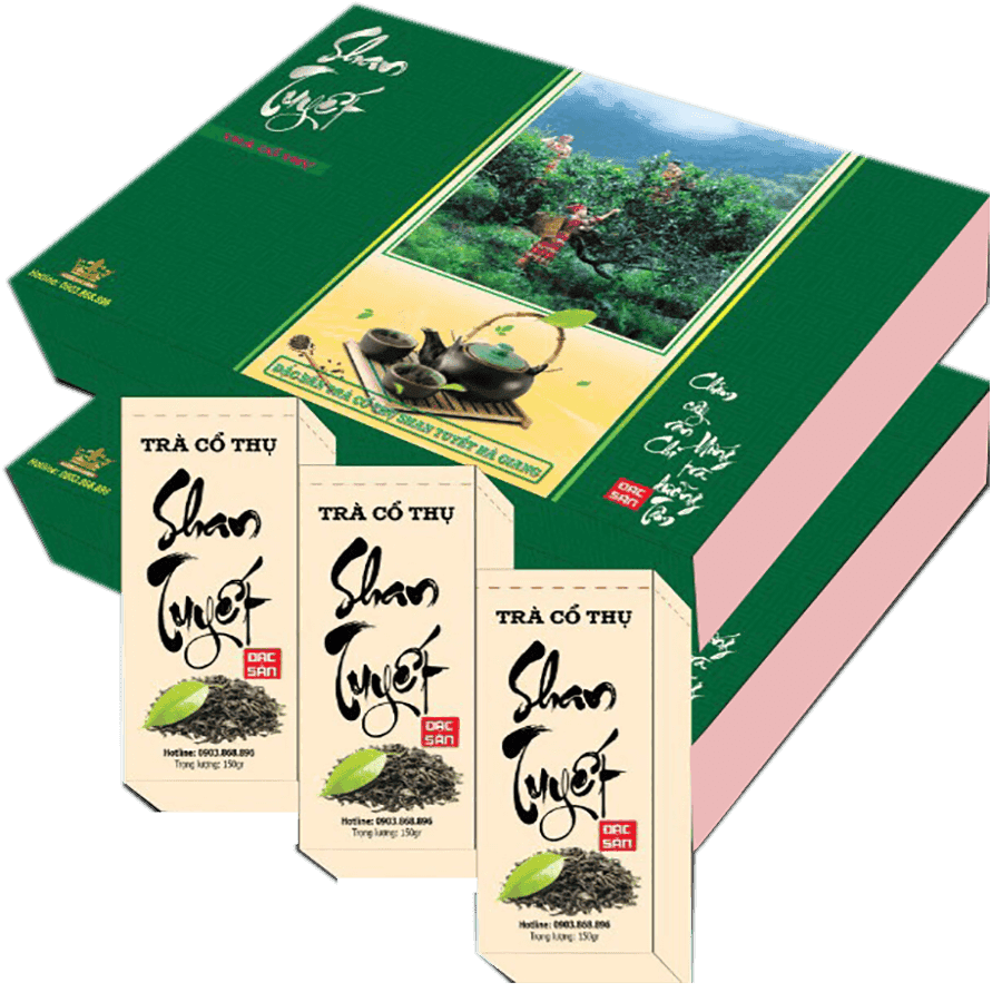 Shan-Tuyet-tea-in-Yen-Bai