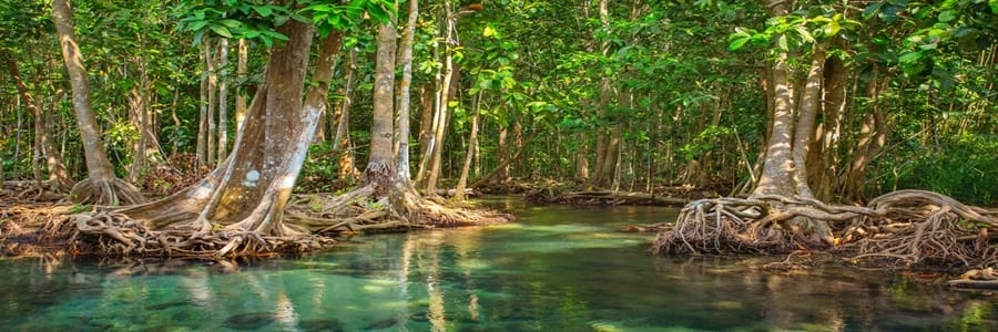 mekong-delta-beautiful-place-to-visit-in-the-flooding-season