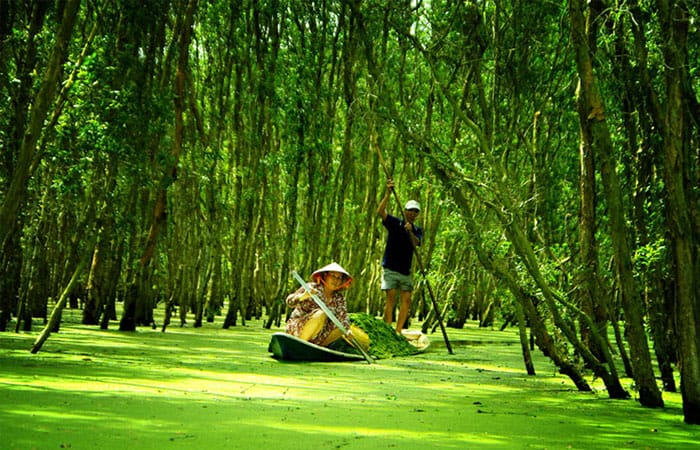 Tra-Su-National-Park-in Mekong-Delta