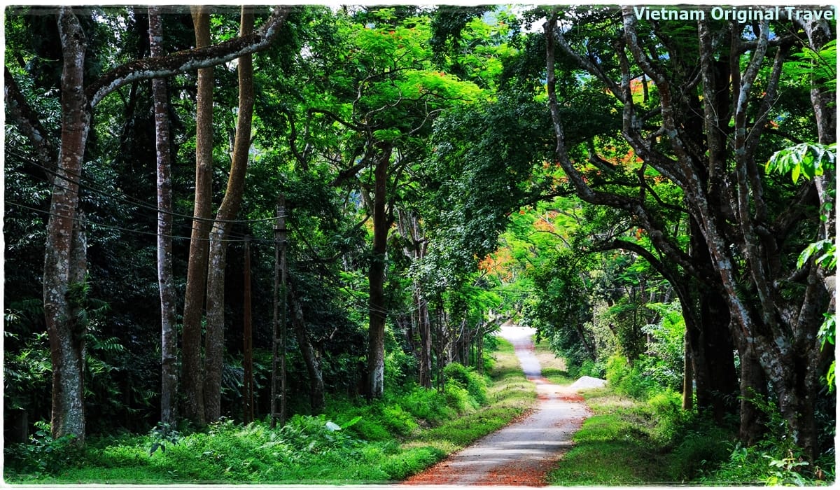to-15-best-things-to-see-and-do-in-ninh-binh-cuc-phuong-national-park